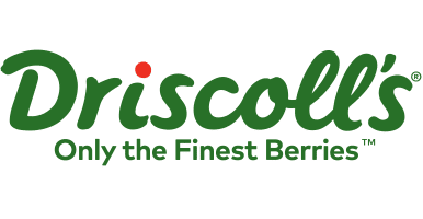Driscoll Logo